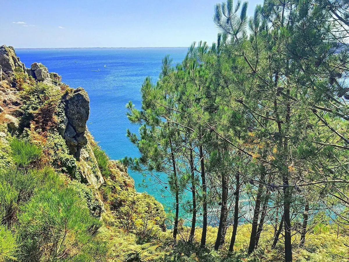Maison Recente A 200M De La Plage Avec Terrasse Vue Mer A Crozon - Fr-1-370-37 Βίλα Σπίτι διακοπών
